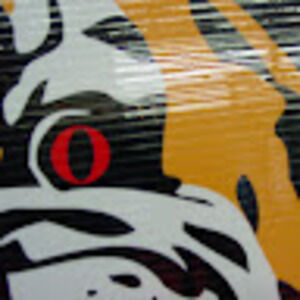 Meet your Posher, Tiger